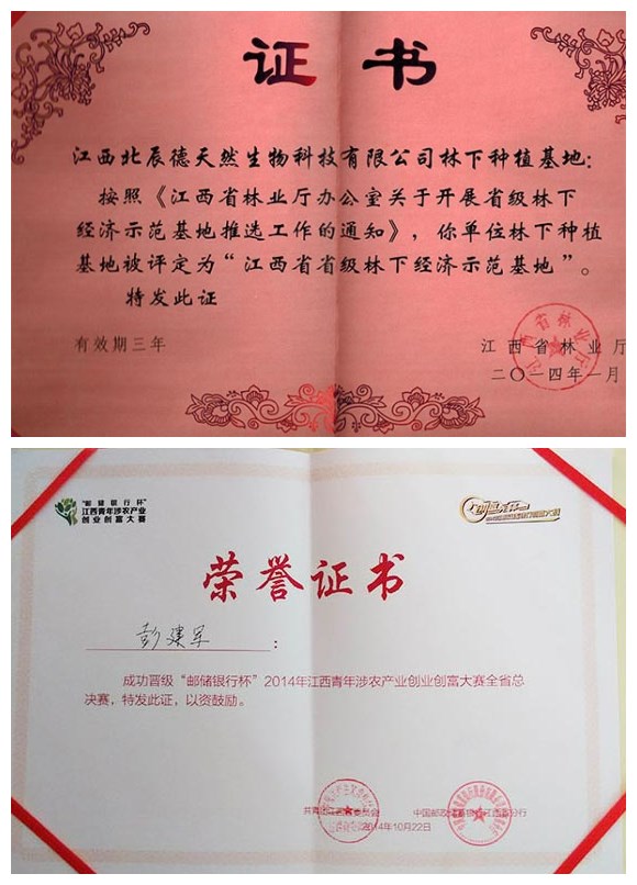 荣誉.jpg